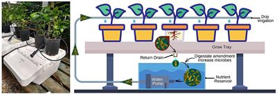 Two Food Waste By-Products Selectively Stimulate Beneficial Resident Citrus Host-Associated Microbes in a Zero-Runoff Indoor Plant Production System